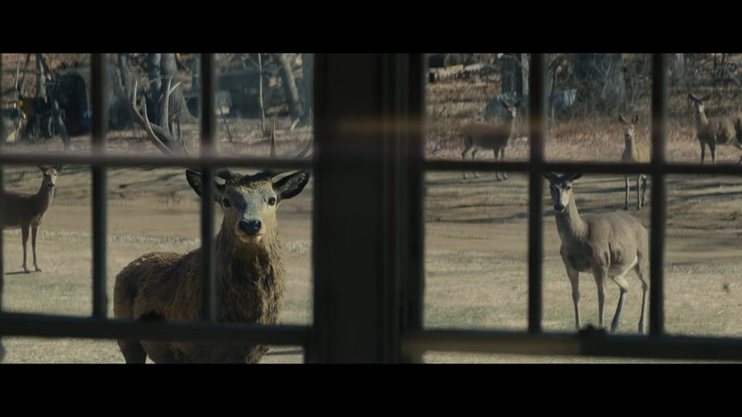 斯皮尔伯格全新电影《揭秘日》首支预告发布！定档26年6月12日