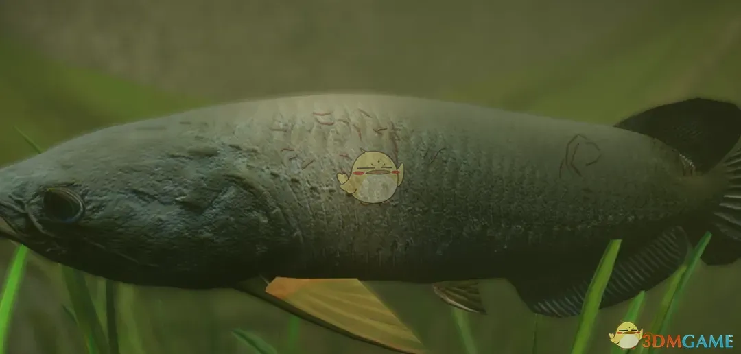 《动物园之星》新物种非洲骨舌鱼MOD