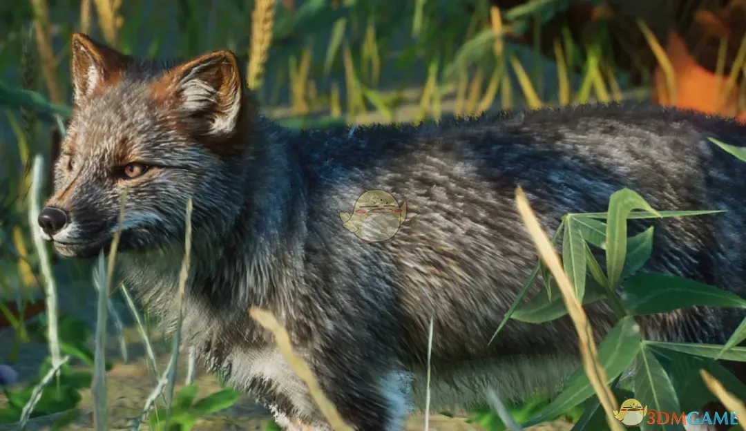 《动物园之星》新物种达尔文狐MOD