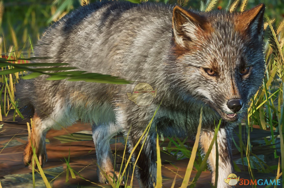 《动物园之星》新物种达尔文狐MOD