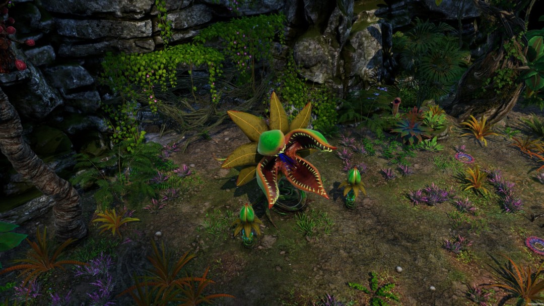 《剑湾奇旅》官方版