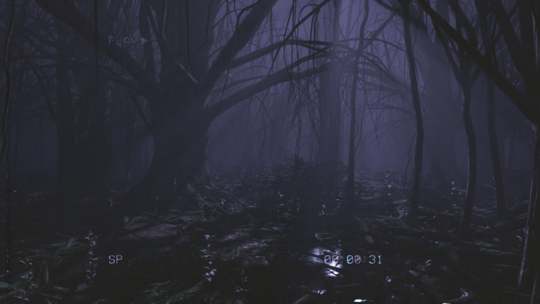 《后室录像带》官方版