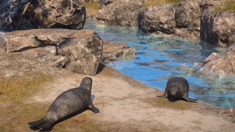 颂钟长鸣大型更新概览：全新生物登陆哈尔玛尔群岛