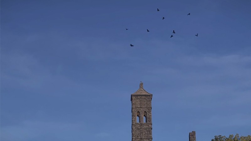 颂钟长鸣大型更新概览：全新生物登陆哈尔玛尔群岛