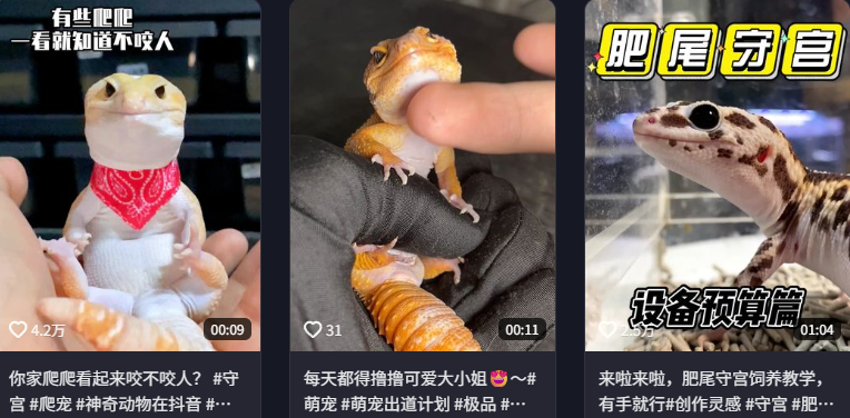 ������Ҷ���ʳ����Ĳ������ô�ͳ�Ϊ�˳�Խ�����׵ĳ���綥����