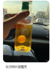 ������Ҷ���ʳ����Ĳ������ô�ͳ�Ϊ�˳�Խ�����׵ĳ���綥����