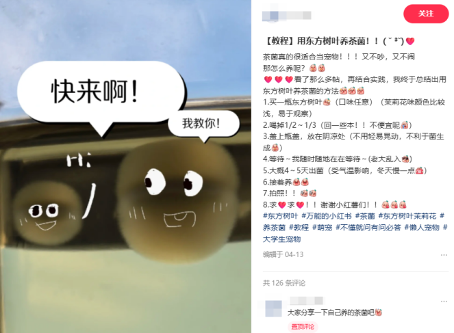 ������Ҷ���ʳ����Ĳ������ô�ͳ�Ϊ�˳�Խ�����׵ĳ���綥����