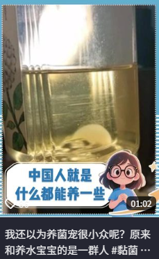 ������Ҷ���ʳ����Ĳ������ô�ͳ�Ϊ�˳�Խ�����׵ĳ���綥����