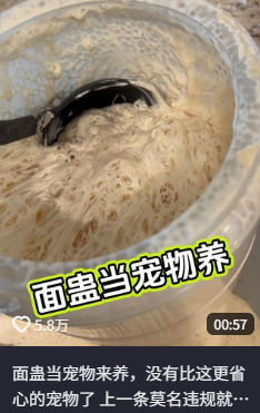 ������Ҷ���ʳ����Ĳ������ô�ͳ�Ϊ�˳�Խ�����׵ĳ���綥����