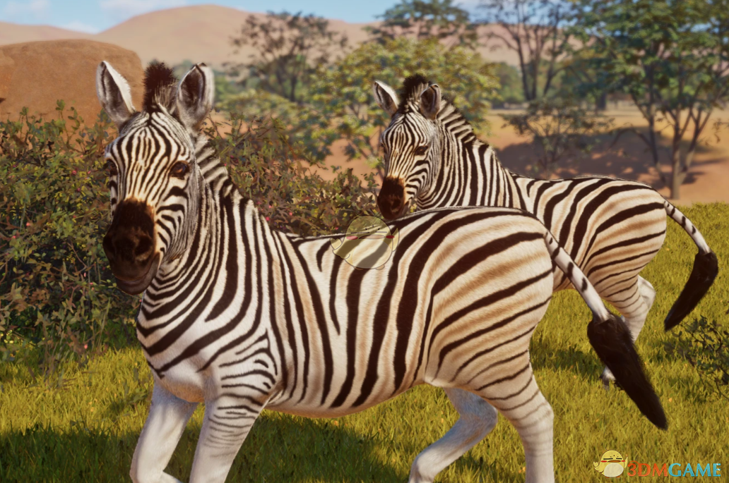 《动物园之星》新物种巴切尔斑马MOD