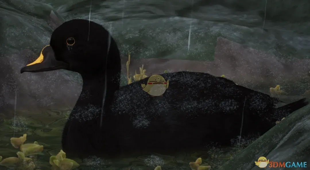 《动物园之星》新物种美洲黑凫MOD