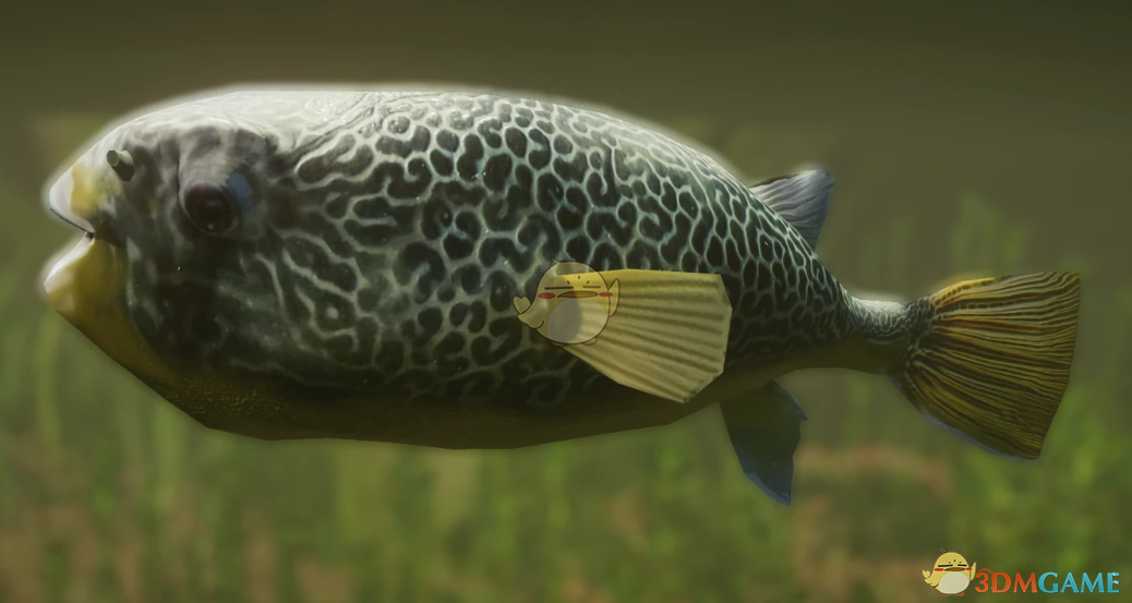 《动物园之星》新物种姆布鲀MOD