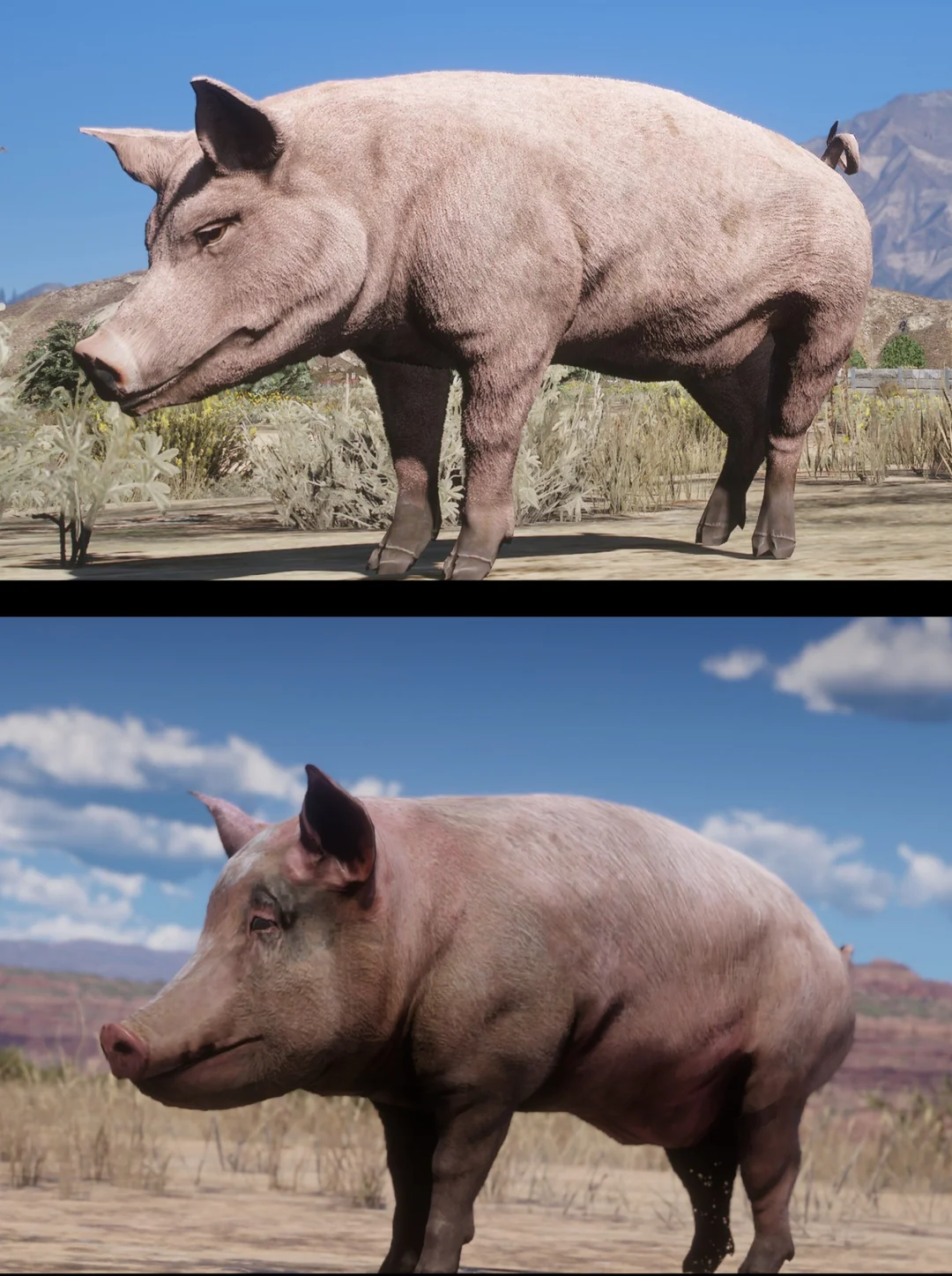 太抽象！玩家对比《GTA5》与《荒野大镖客2》动物建模