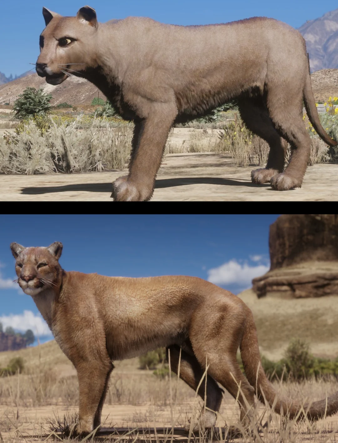 太抽象！玩家对比《GTA5》与《荒野大镖客2》动物建模