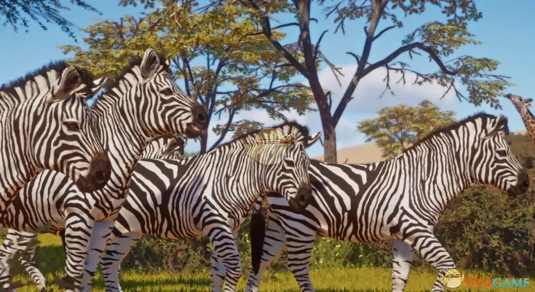 《动物园之星》新物种克劳希斑马MOD