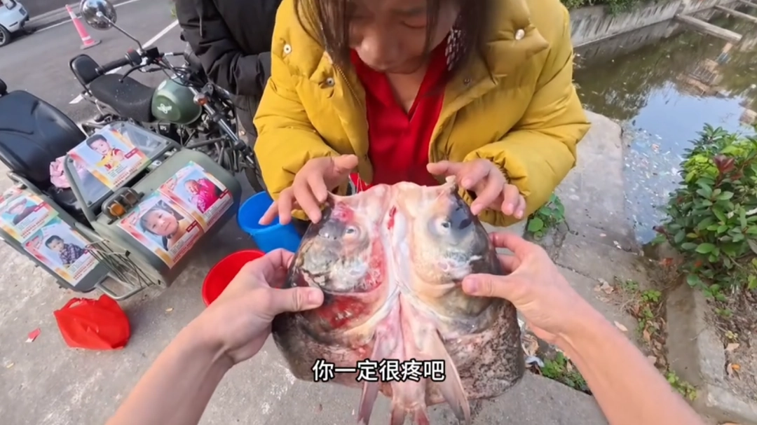 ���µĶ����Ƕ�ˬ�磬�ǵ���������������������