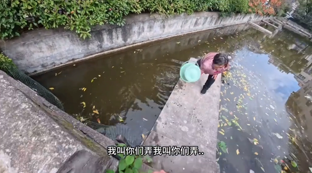 ���µĶ����Ƕ�ˬ�磬�ǵ���������������������