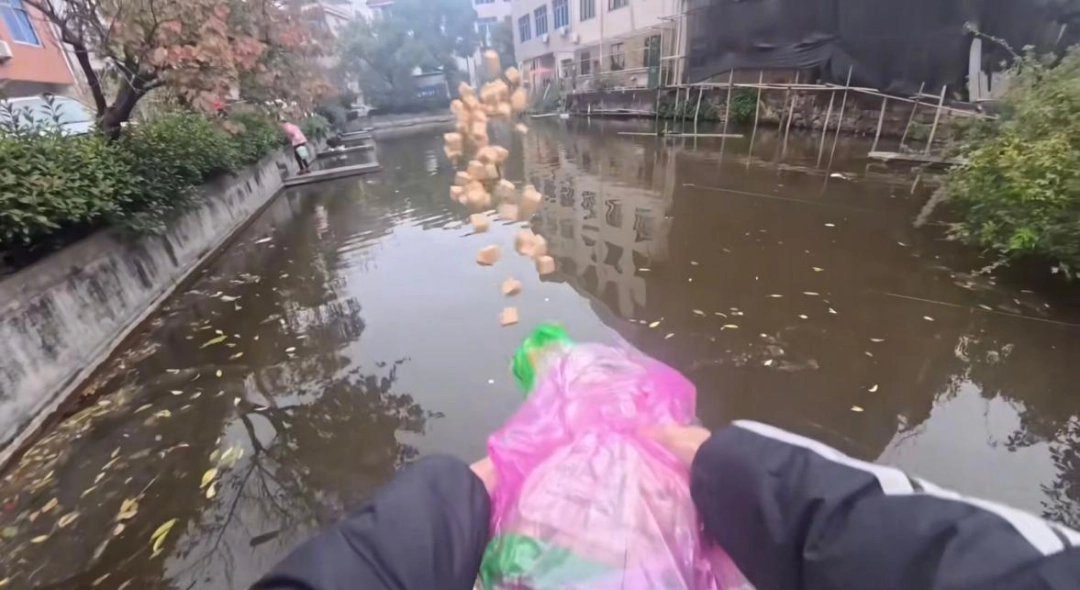 ���µĶ����Ƕ�ˬ�磬�ǵ���������������������