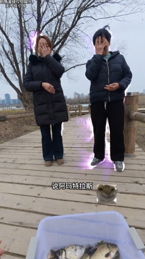 ���µĶ����Ƕ�ˬ�磬�ǵ���������������������