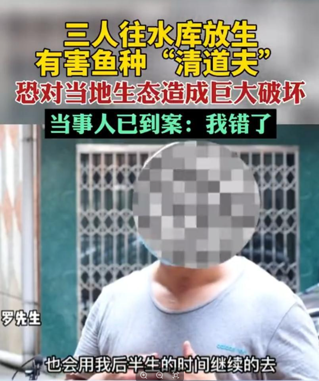 ���µĶ����Ƕ�ˬ�磬�ǵ���������������������