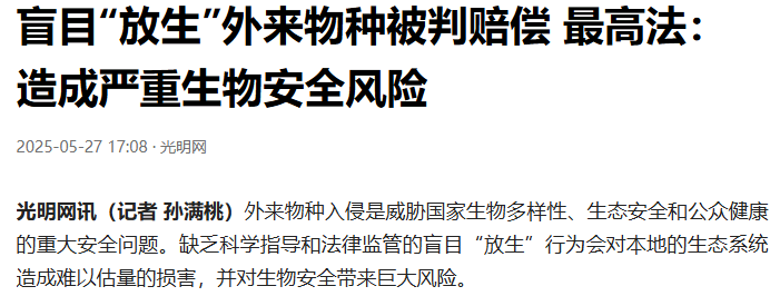 ���µĶ����Ƕ�ˬ�磬�ǵ���������������������