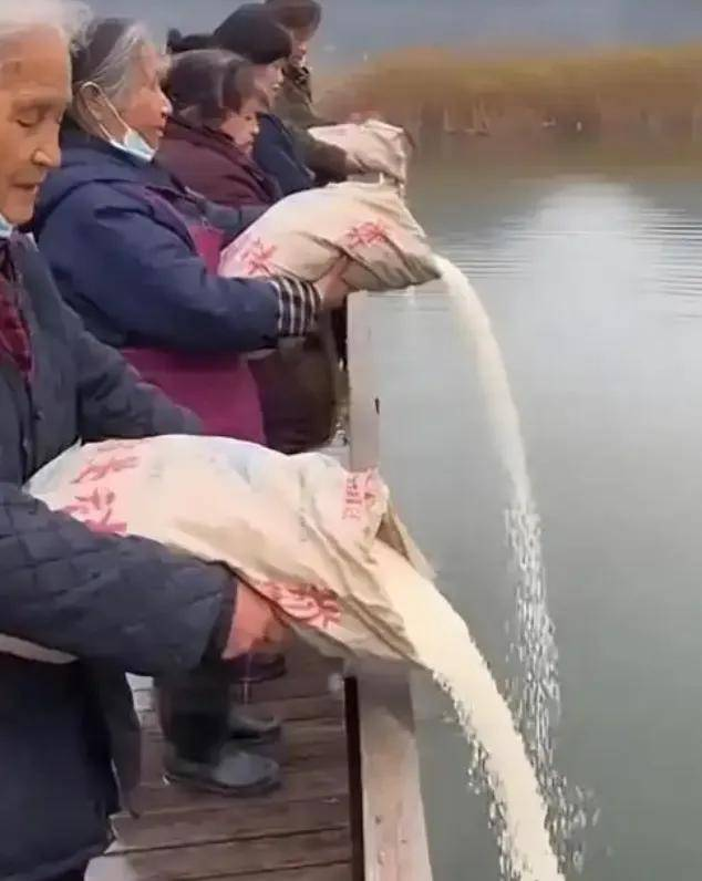 ���µĶ����Ƕ�ˬ�磬�ǵ���������������������