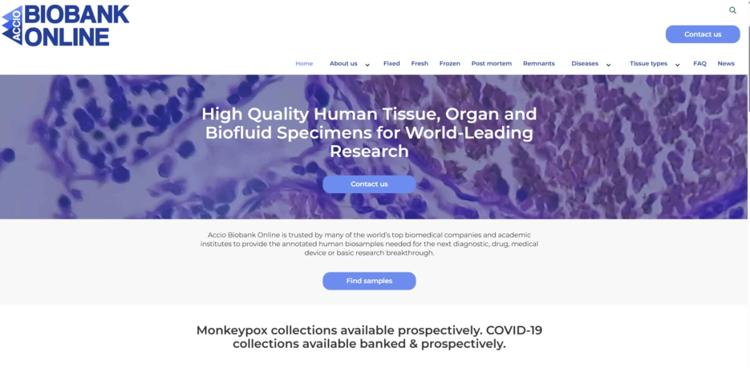 ����������նɱ�ߡ������˺������䡰�ߴ��������