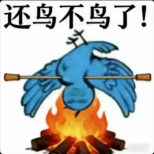 ���ð����ġ����񶼲����㡱���������ô���˲������ѵ��������棿