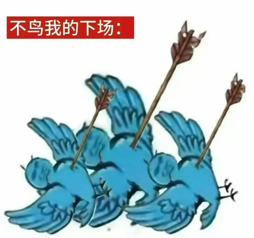 ���ð����ġ����񶼲����㡱���������ô���˲������ѵ��������棿