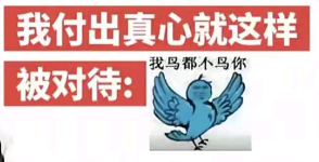 ���ð����ġ����񶼲����㡱���������ô���˲������ѵ��������棿