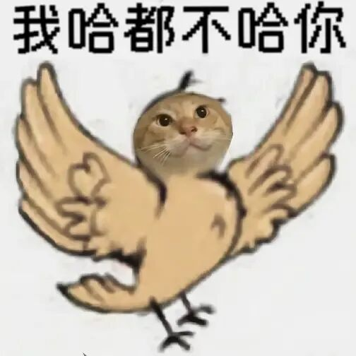 ���ð����ġ����񶼲����㡱���������ô���˲������ѵ��������棿