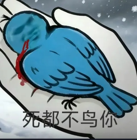 ���ð����ġ����񶼲����㡱���������ô���˲������ѵ��������棿