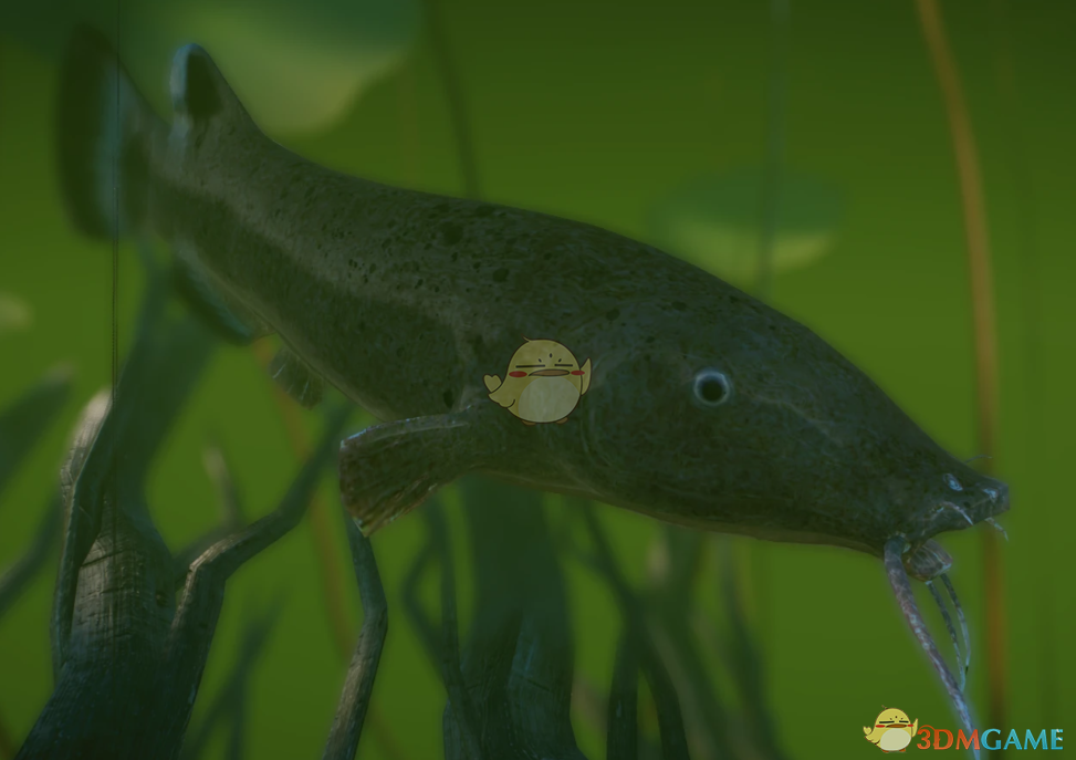 《动物园之星》新物种电鲶MOD