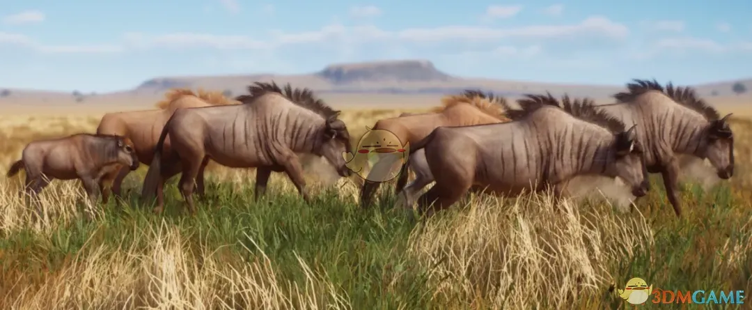 《动物园之星》新物种白须角马MOD