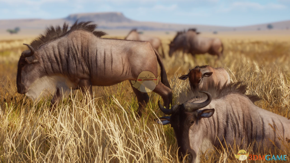 《动物园之星》新物种白须角马MOD