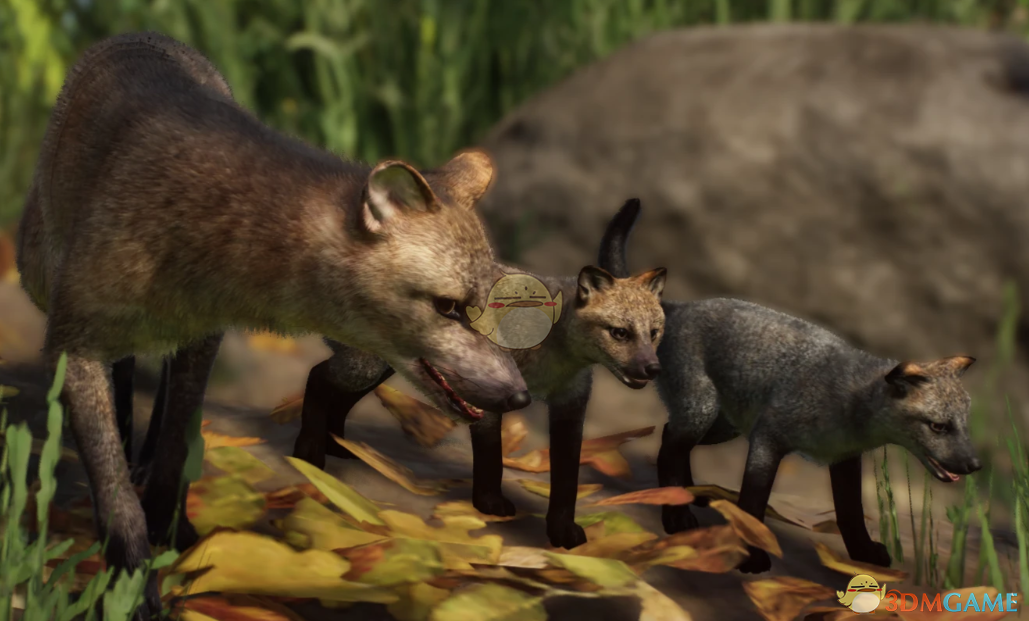 《动物园之星》新物种食蟹狐MOD