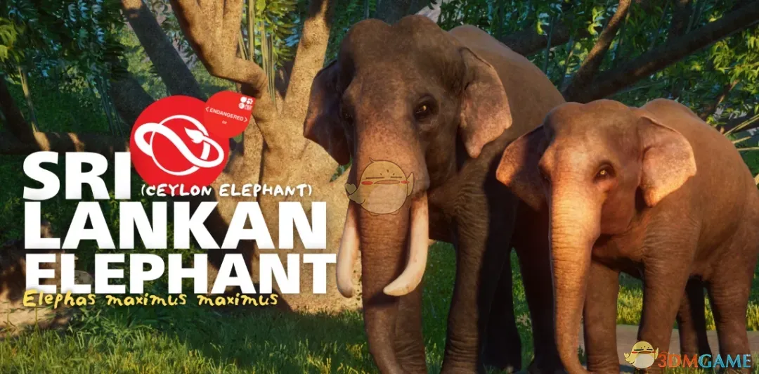 《动物园之星》新物种斯里兰卡象MOD