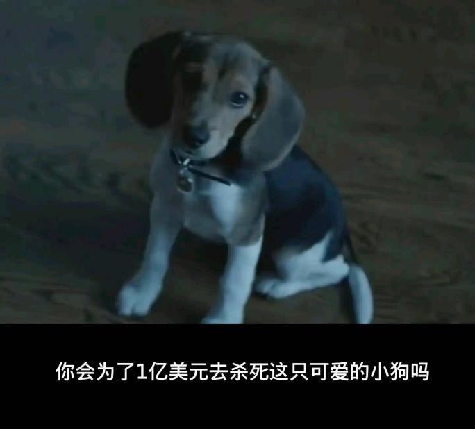 ��Bվ���������������ܿ����ް桶��ե���͡�����Die��