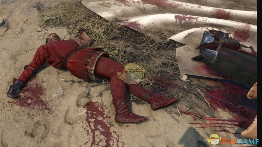 《天国：拯救2》血流成河MOD