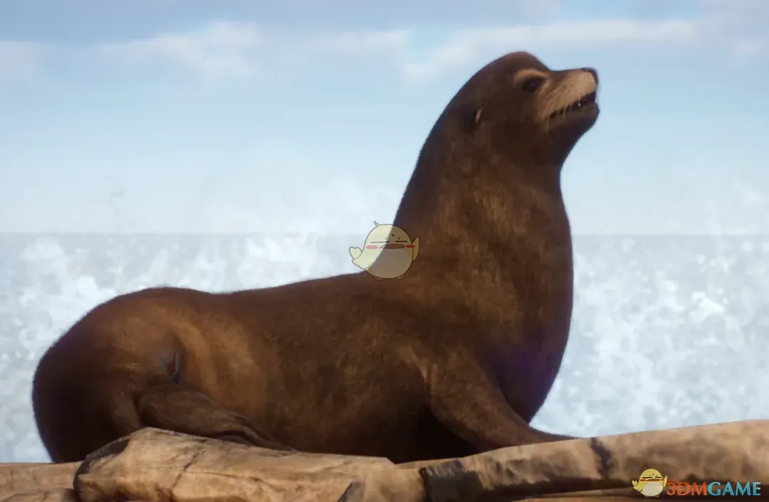 《动物园之星》重制加利福尼亚海狮MOD