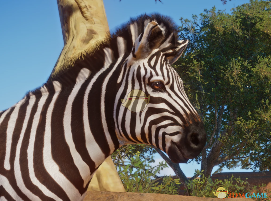 《动物园之星》新物种塞卢斯斑马MOD