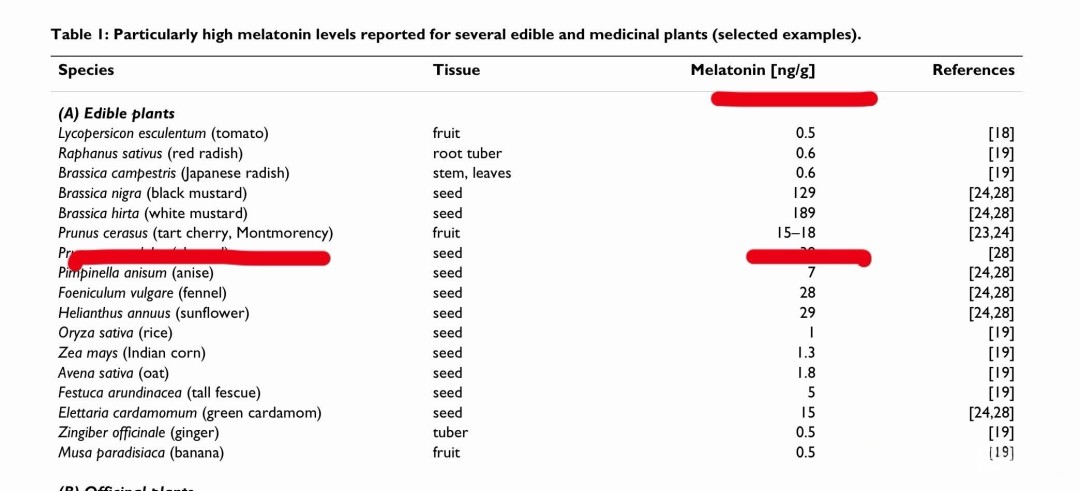 �����Ӻ��ʺ��� ���˿������ߣ�ר�ң�û˯���ȳ���