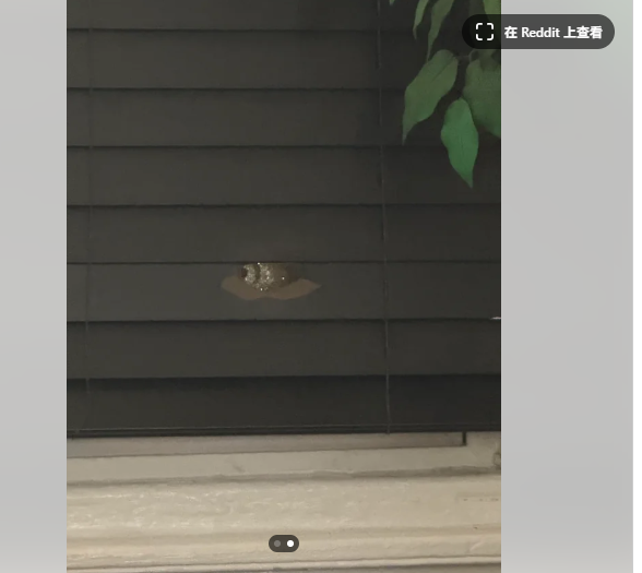 玩家展示PC主机额外功能 挡住一颗射向玩电脑孩子的子弹