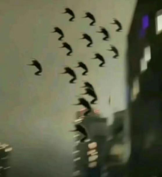 家人们，在人中下面的器官塞进劲辣鸡腿堡会很舒服【365娱乐资讯网】