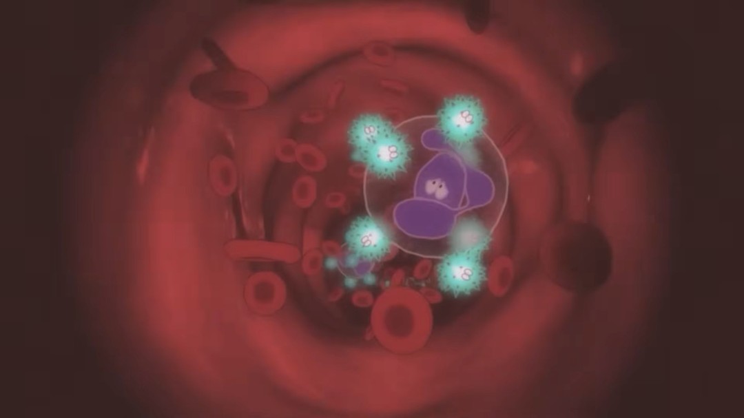 须田刚一《罗密欧是个绝命侠》发布全新开场预告