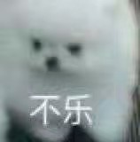 一场胶佬退坑、筹钱治病的骗局，硬是把奥迪双钻骗成了小丑【365娱乐资讯网】