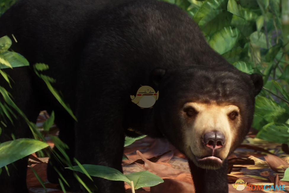 《动物园之星》重制马来熊MOD