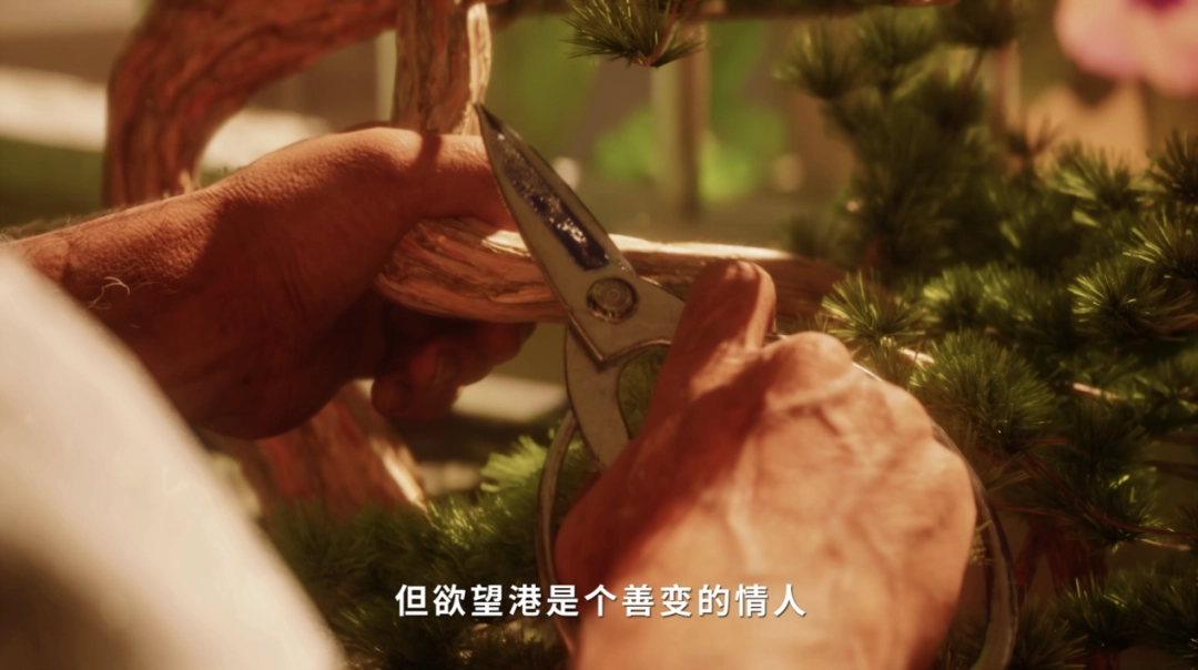 ��NO LAW��������ר�ã�����Գ�