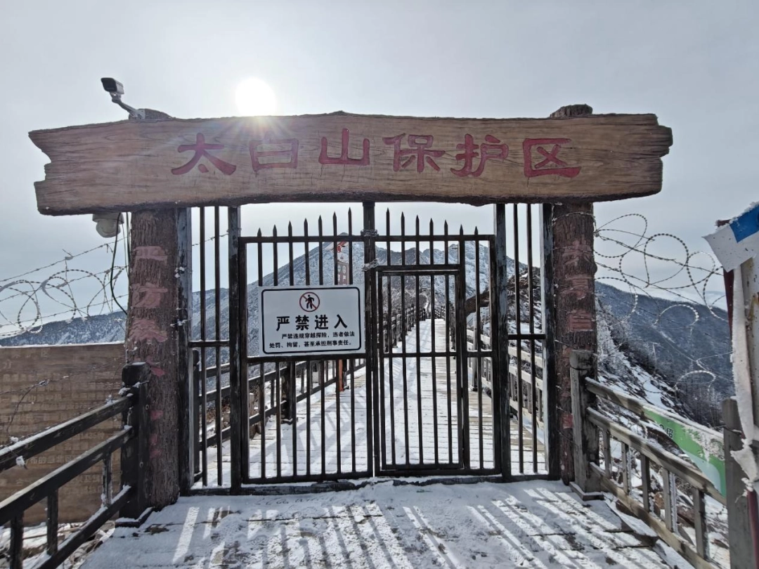 別特么去鰲太線送人頭了，是耳朵聾嗎？