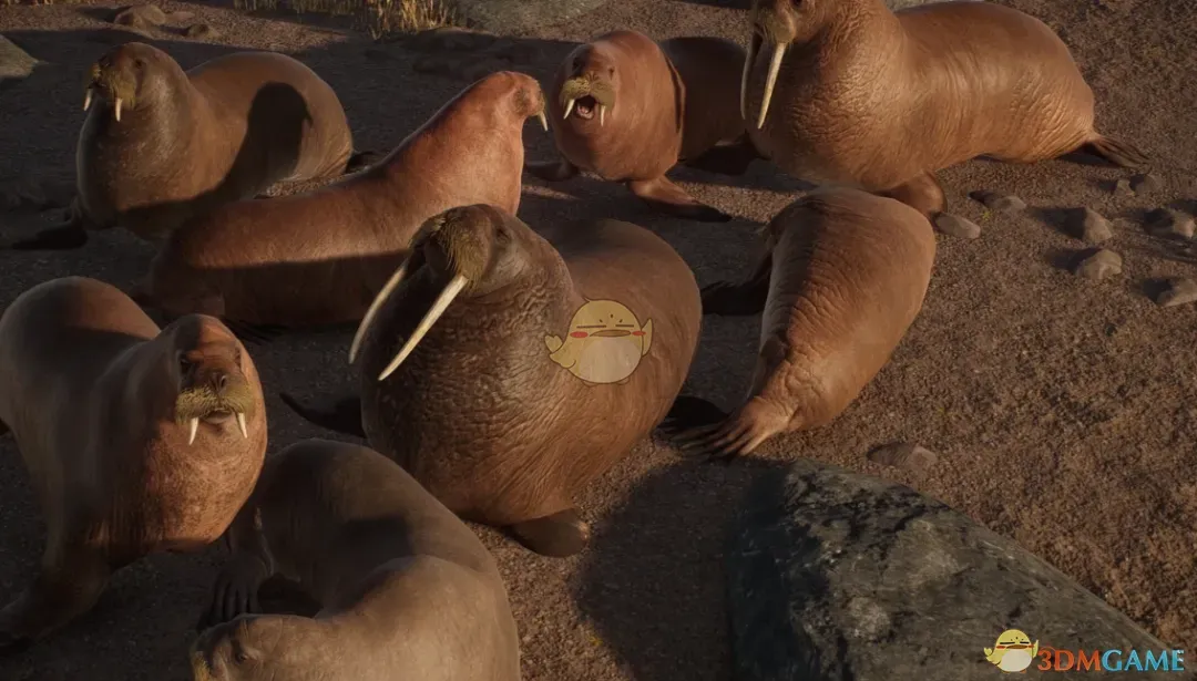 《动物园之星》新物种海象MOD